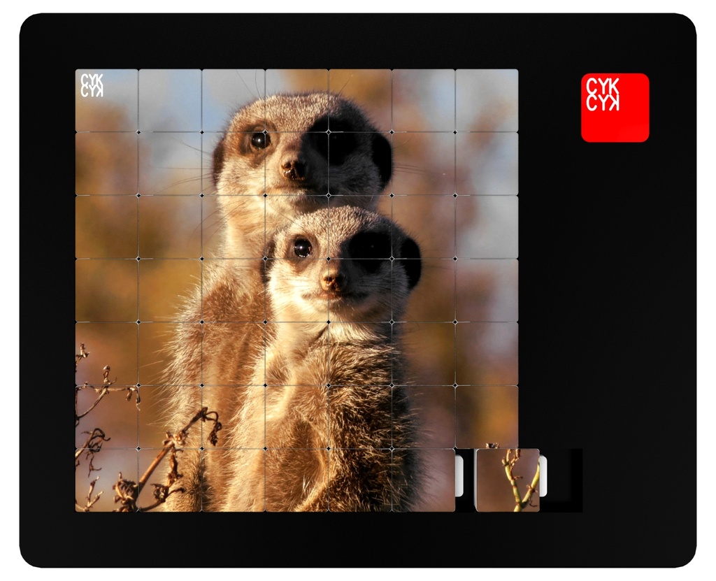 CYKCYK UKŁADANKA 49 elem.