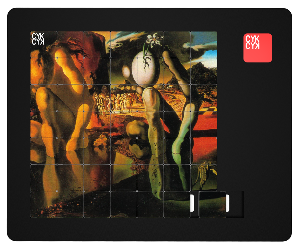 CYKCYK UKŁADANKA 49 elem.