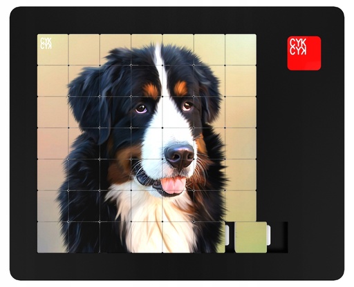 [C/PIESEK/3] UKŁADANKA LOGICZNA PUZZLE 49 elem - NOWOŚĆ !!!