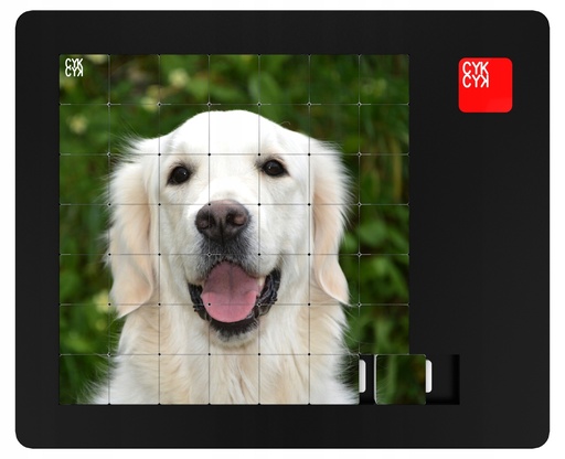 [C/PIESEK/2] UKŁADANKA LOGICZNA PUZZLE 49 elem - NOWOŚĆ !!!