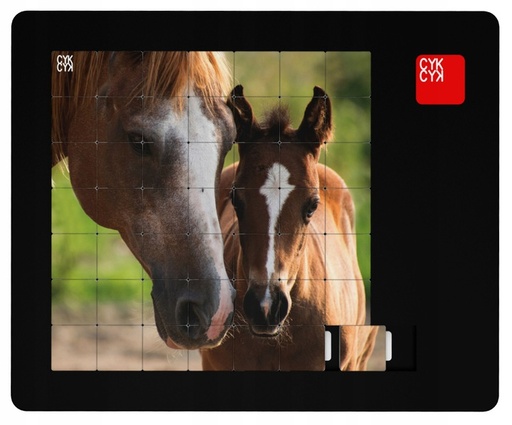 [C/KONIE/1] UKŁADANKA LOGICZNA PUZZLE 49 elem - NOWOŚĆ !!! (kopiuj)