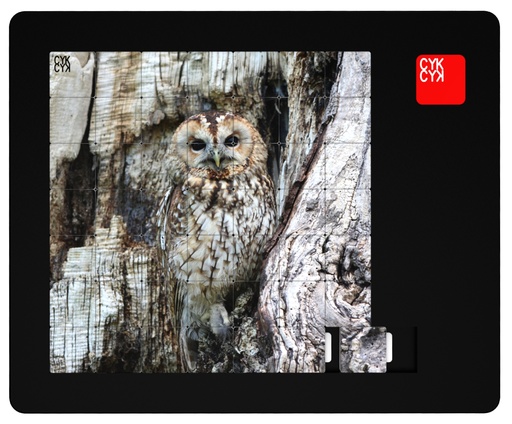 [C/SOWA_NA_DRZEWIE/1] CYKCYK UKŁADANKA 49 elem.