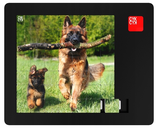 [C/PIESKI/1] UKŁADANKA LOGICZNA PUZZLE 49 elem NOWOŚĆ PIESKI